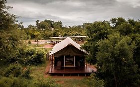 Honeyguide Tented Safari Camps 4*