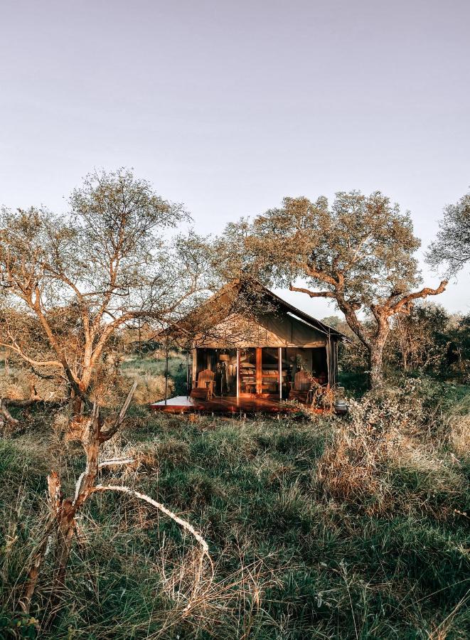 Honeyguide Tented Safari Camp - Khoka Moya Manyeleti Game Reserve Exterior photo
