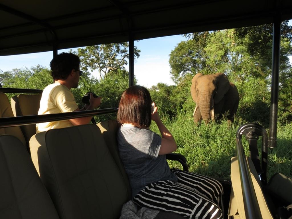 Honeyguide Tented Safari Camp - Khoka Moya Manyeleti Game Reserve Exterior photo